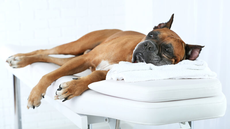 shutterstock_311602700