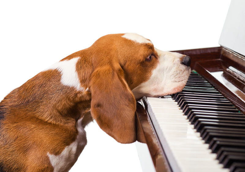 shutterstock_100193201