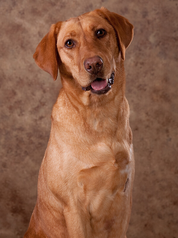 (Photos courtesy Tim Yeaglin Photography)