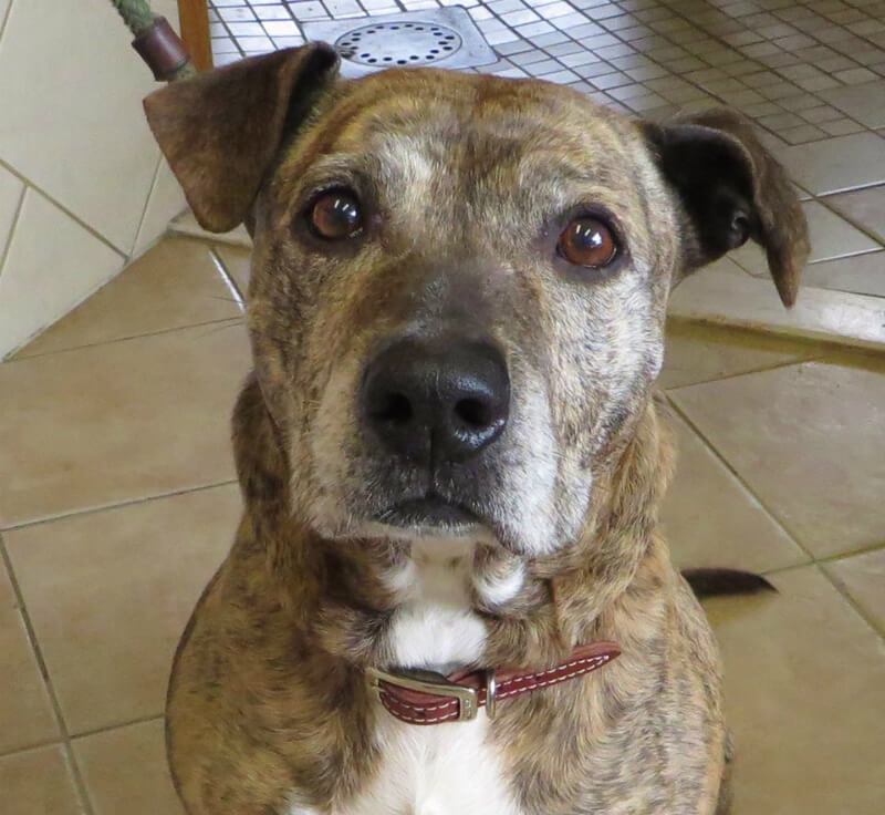 The picture that captured Sylvia's heart. (All photos courtesy Sylvia Deranleau)