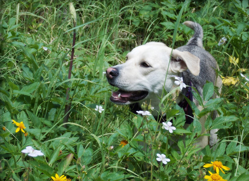 shutterstock_413002420