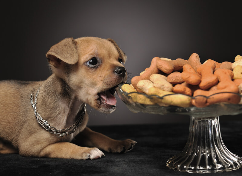 shutterstock_80713426