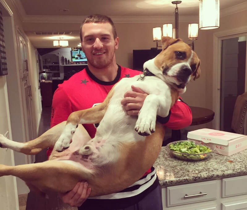 Riggins is now just over a year old and all grown up. (Photo courtesy @seventhroundscoob)